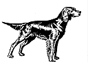 setter.gif (4022 bytes)